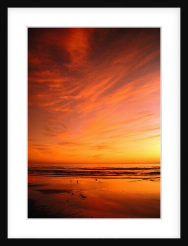 Southern California Sunset at Beach by Anonymous