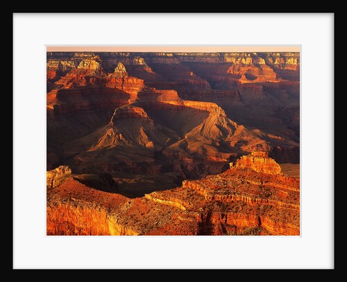 Grand Canyon Bathed in Sunlight by Anonymous