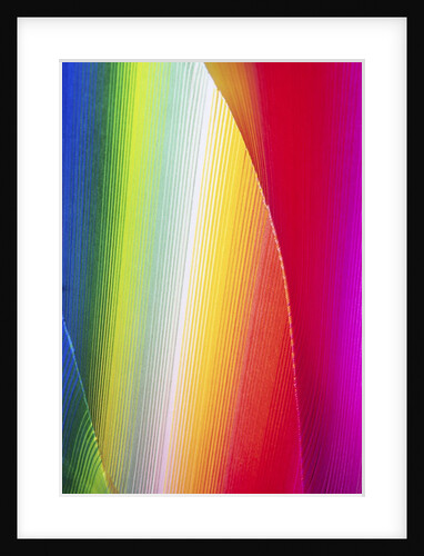 Colors by Anonymous