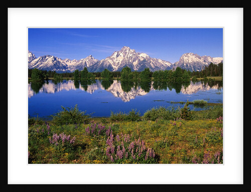 Mount Moran by Anonymous