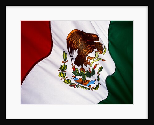 Flag of Mexico by Anonymous