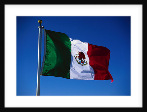 Flag of Mexico by Anonymous