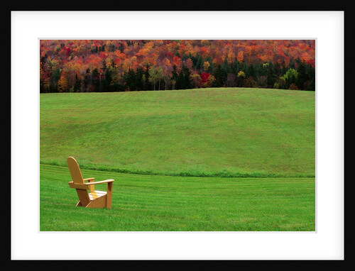 Chair on Lawn with Fall Foliage by Anonymous