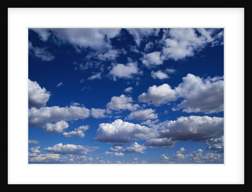 Puffy White Clouds in a Blue Sky by Anonymous