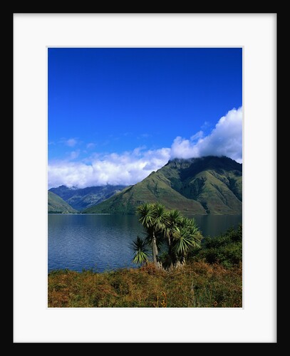 Lake Wakatipu and Mount Hector by Anonymous