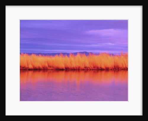 Sunset on Summer Lake by Anonymous