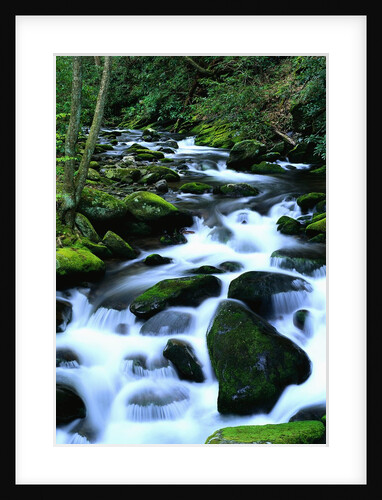 River Cascading Down Moss-Covered Rocks by Anonymous