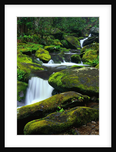 Stream Cascading Down Moss-Covered Rocks by Anonymous
