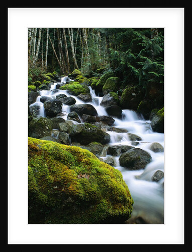 Stream Cascading Down Moss-Covered Rocks by Anonymous