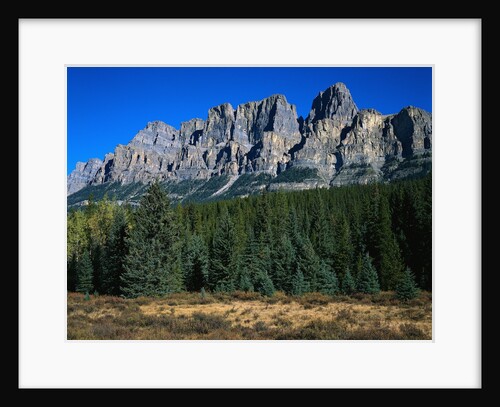 Forest and Castle Mountain by Anonymous