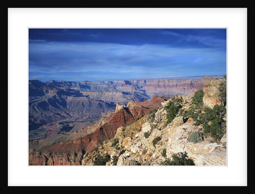 Grand Canyon from Lipan Point by Anonymous