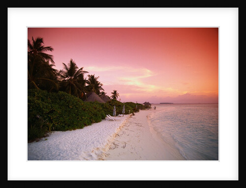 Tropical Beach at Sunset by Anonymous