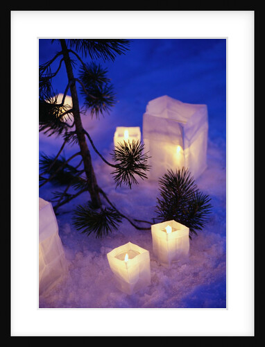 Candles Sitting on Snow by Tree by Anonymous