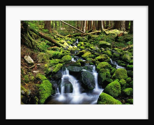 River Winding Between Mossy Rocks by Anonymous