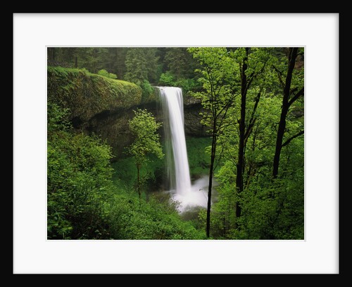 Waterfall Surrounded by Vegetation by Anonymous