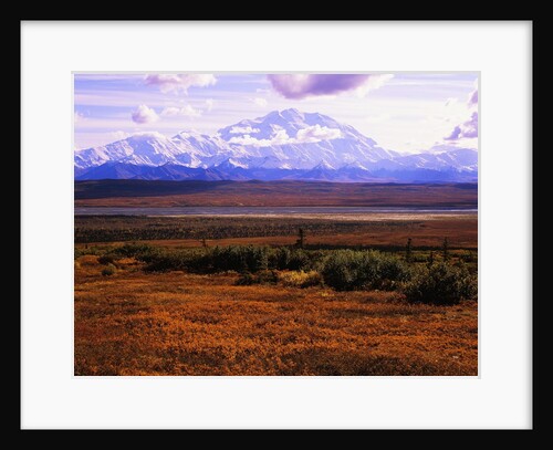 Red Vegetation and Mount McKinley by Anonymous