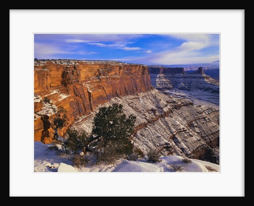 Snowy Canyon from Dead Horse Point by Anonymous