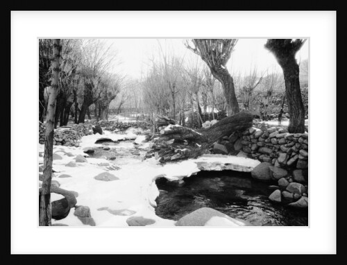 Snow Fallen Around Stream by Anonymous