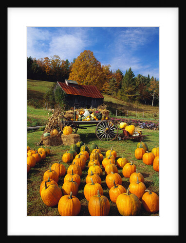 Pumpkins at Produce Stand by Anonymous