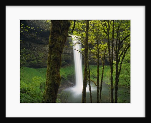 Waterfall Behind Trees by Anonymous