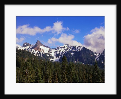 Forest and Mountain Range by Anonymous