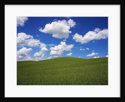 Field of Green under Scattered Clouds by Anonymous