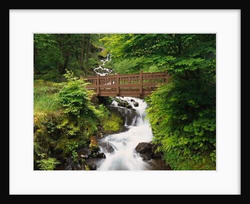 Bridge over Waterfall by Anonymous