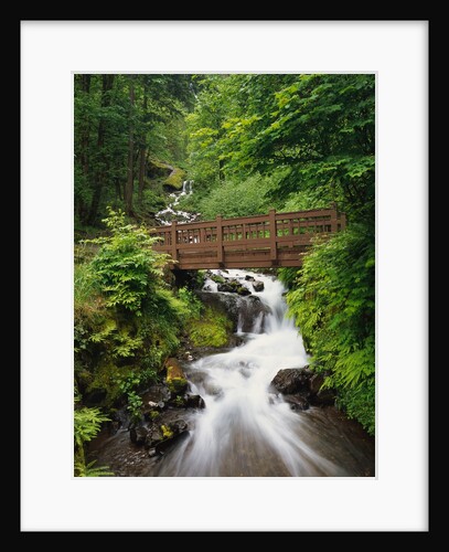 Bridge over Waterfall by Anonymous