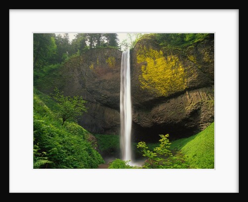 Latourell Falls by Anonymous