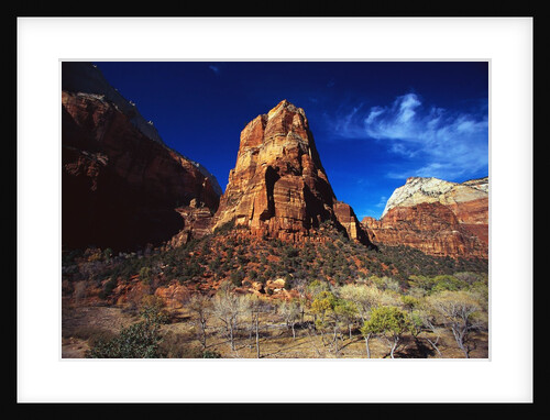 Butte in Zion National Park by Anonymous