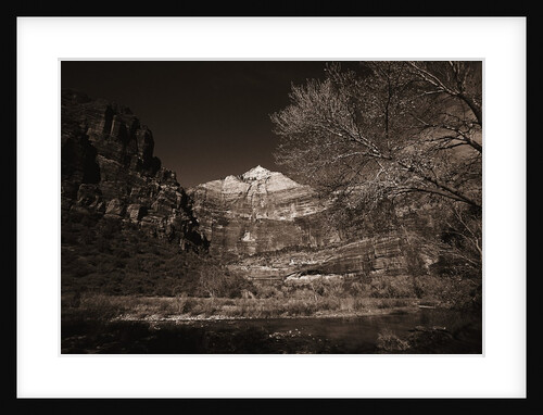 Mountains and Tree from Valley Floor by Anonymous