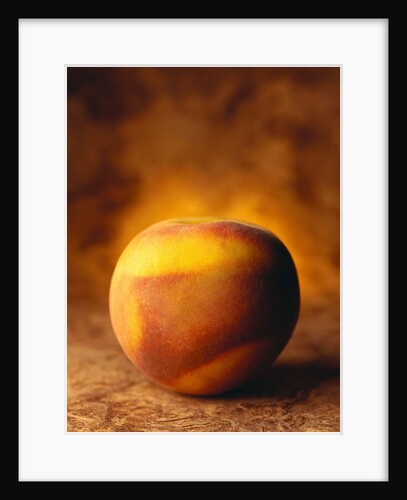 Nectarine by Anonymous