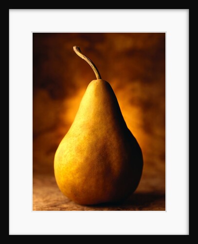 Bartlett Pear by Anonymous