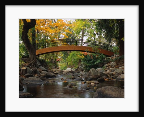 Footbridge over Stream by Anonymous