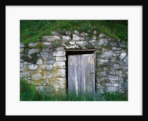Door to Underground Root Cellar by Anonymous