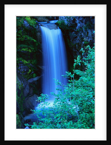 Christine Falls by Anonymous