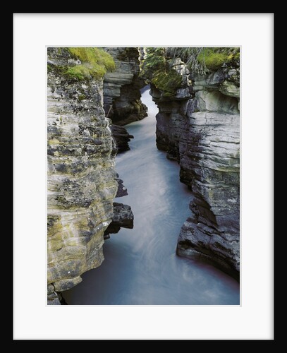 Athabasca River by Anonymous