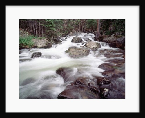 Madison River Rushing over Rocks by Anonymous