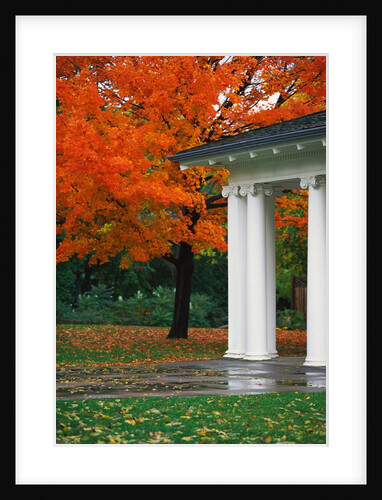 Autumn in a Milwaukee Park by Anonymous