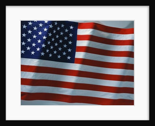 American Flag by Anonymous