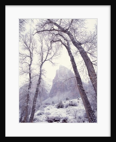 Snow at Zion National Park by Anonymous