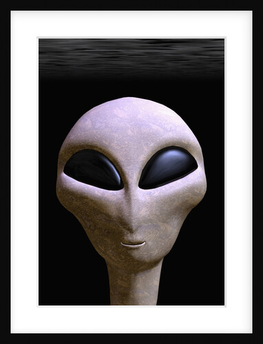 Face of an Extraterrestrial Alien by Anonymous