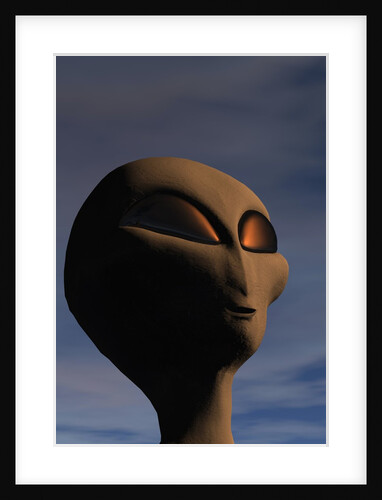 Face of an Extraterrestrial Alien by Anonymous