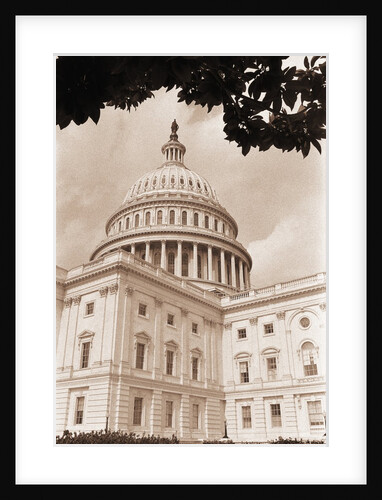 Branch Before U.S. Capitol by Anonymous