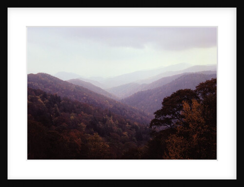 Smoky Mountains in the Mist by Anonymous
