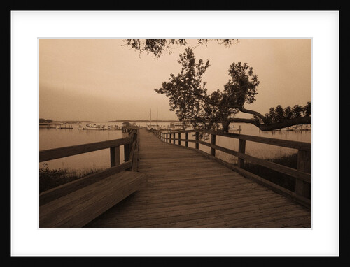 Bridge Leading to Pier by Anonymous