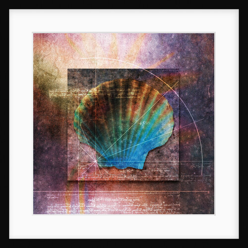 Colorful Clam Shell and Geometry by Anonymous