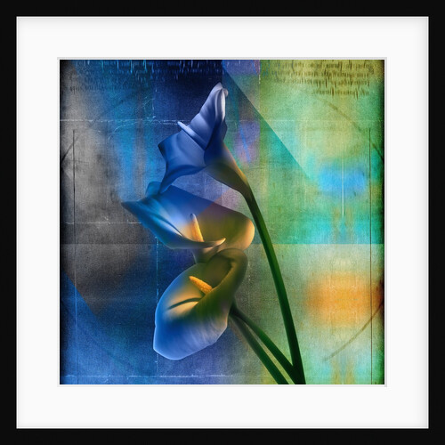 Calla Lilies and Colorful Patterns by Anonymous