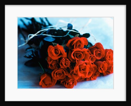 Bouquet of Roses by Anonymous