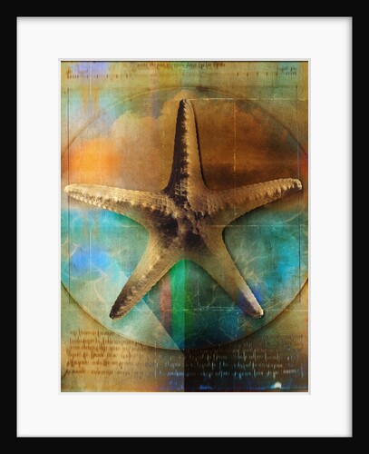 Starfish by Anonymous